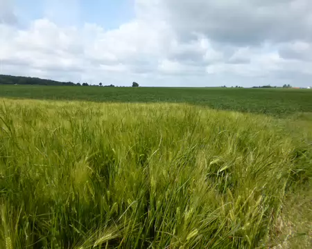 P1230044