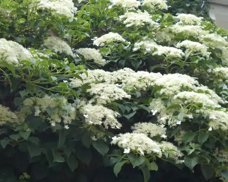 P1230075