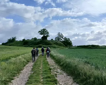 006 Champs de céréales dans la plaine de Neauphle