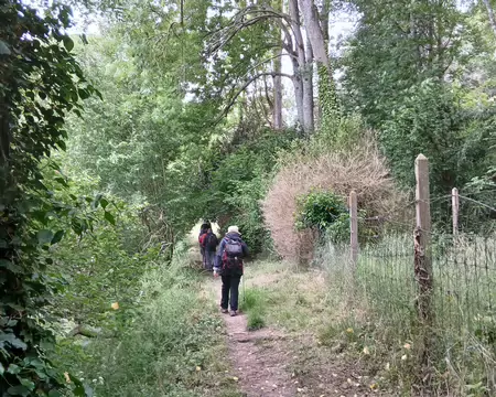 046 Descente vers Villiers-Saint-Frédéric par la sente de l’Orme Imbert