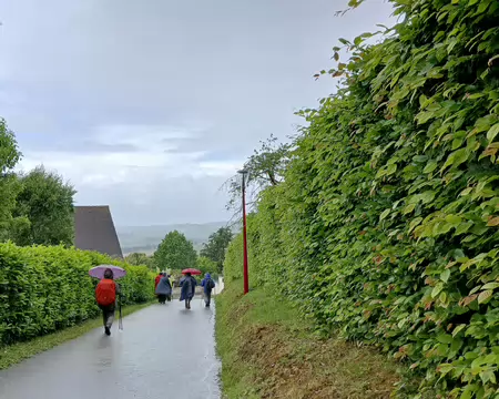 048 Vent et pluie à Villiers-Saint-Frédéric