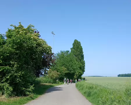 004 Sur l’avenue de Beaumont (Fosses)