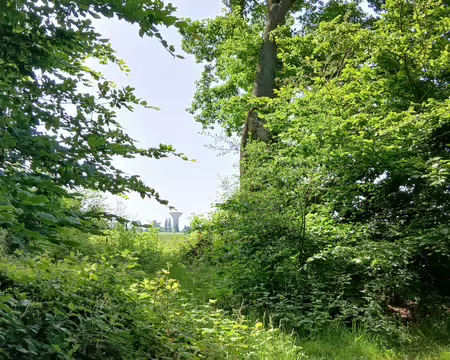 007 Vue sur le château d’eau depuis la lisière de la forêt de Coye