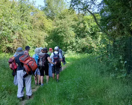 008 Sur le chemin du Poirier