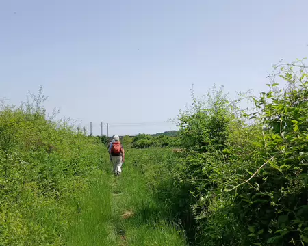010 A découvert sur le chemin du Poirier
