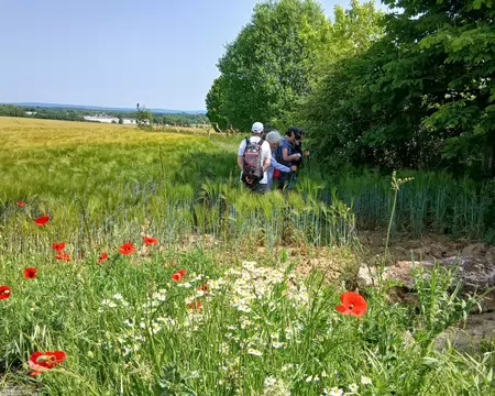 013 Demi-tour car il n’y a pas d’accès vers le village de la Chapelle-en-Serval