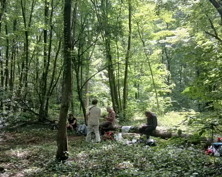 019 Pique-nique convivial dans le bois