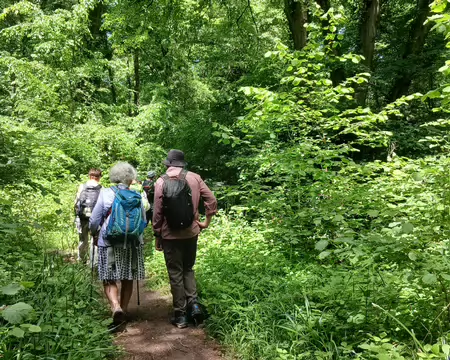 022 En chemin