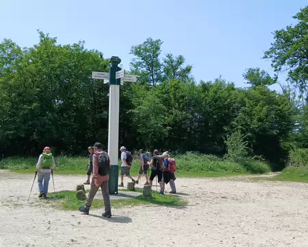 033 Arrivée au poteau Nibert (forêt de Coye) par la route forestière de la Grange-aux-Bois