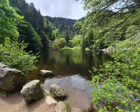 20260514_135602