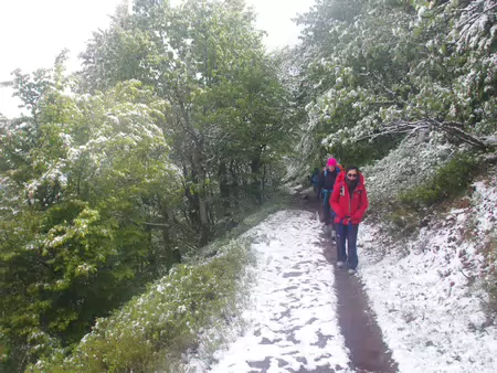 2026-05 Vosges