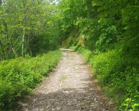 IMGP7843 Chemin du Fischboedle