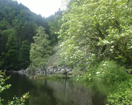 IMGP7861 Lac de Fischboedle