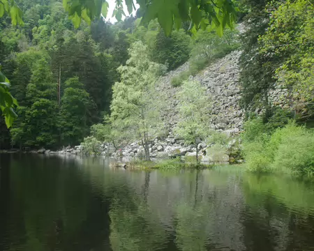 IMGP7863 Lac de Fischboedle