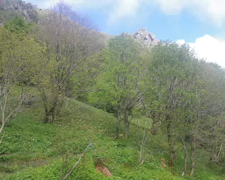 IMGP7875 Montée vers le col du Wormspel