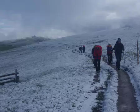 IMGP7915 Au fond le Hohneck, nous avons renoncé à y aller