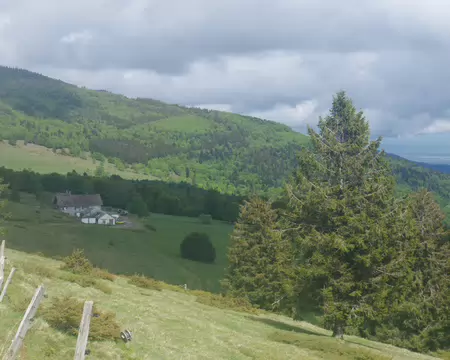 IMGP8010 Vers la ferme-auberge de Steinlebach où nous passerons la nuit