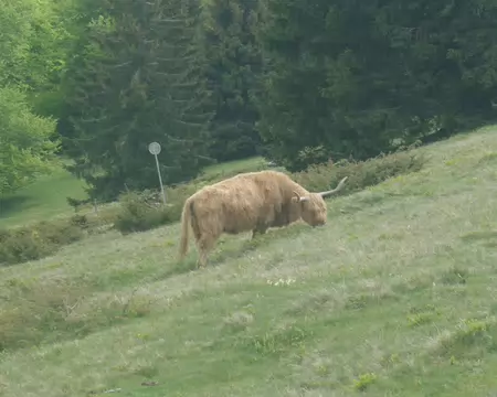 IMGP8012r Près de la ferme-auberge de Steinlebach