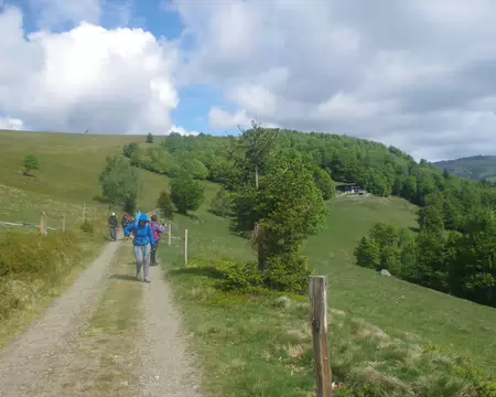 IMGP8045 Chemin du Hofried : le premier rayon de soleil du week-end