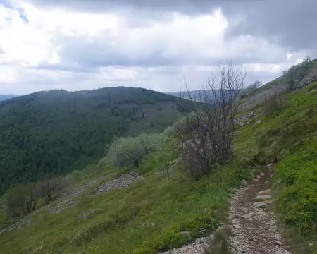 IMGP8073 Montée vers le Grand Ballon