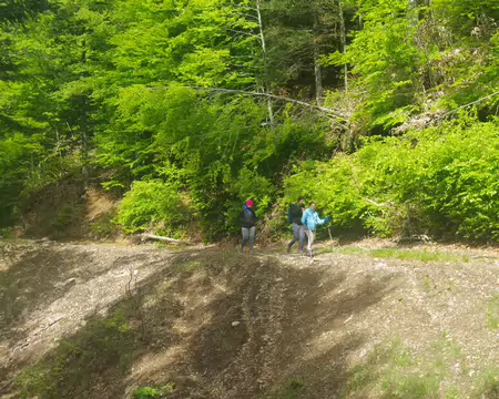 IMGP8116 Descente vers le lac du Ballon