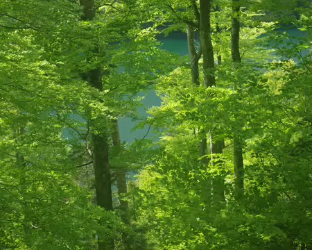 IMGP8122 Le lac se laisse désirer