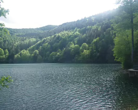 IMGP8125 Lac du Ballon