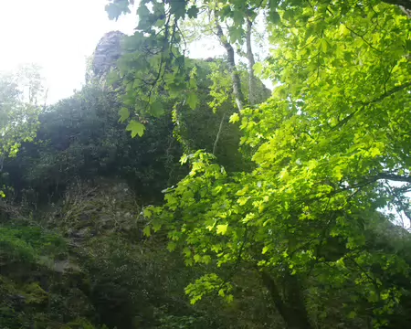 IMGP8160 Château de Freundstein (à peine visible dans la forêt)