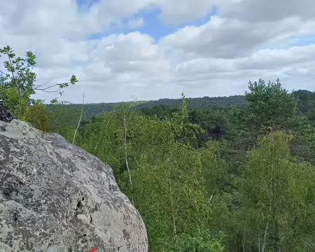 2026-06-07 11-37-55