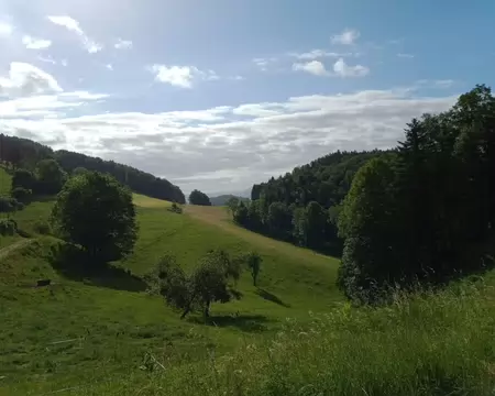 24 paysage du Jura typique