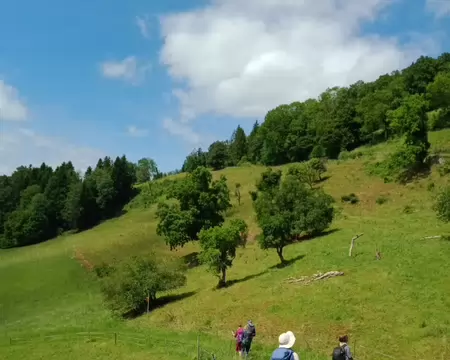 27 à travers prés