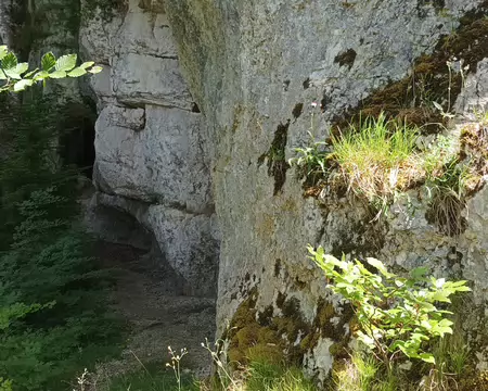39 découverte d'une grotte
