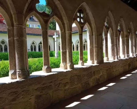 45 aperçu des jardins d'Eden de la Collégiale