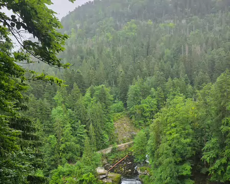 110 Le saut du Doubs et sa chute d'eau de 27 mètres.
