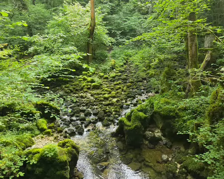 118 Vers la source du Tabourot dans le cirque de Consolation.