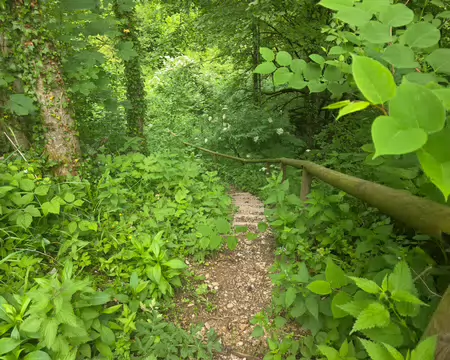 123 Chemin de descente vers le monastère.