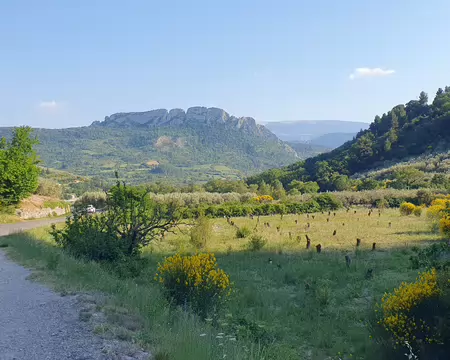 20260526_181836