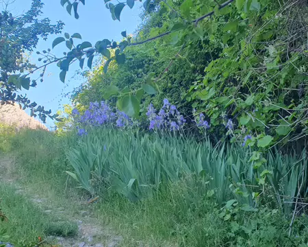 20260529_095357