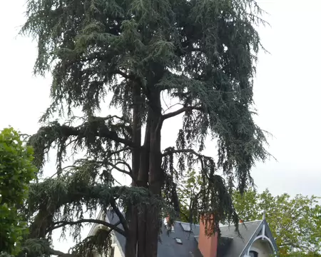 P1230345