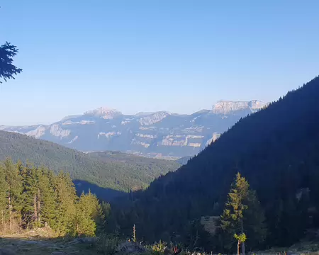 20260722_081453