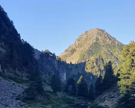 20260724_083717