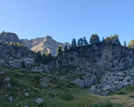 20260724_081009