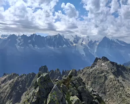 2026-07-21 11-48-42