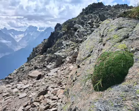 2026-07-21 12-03-10