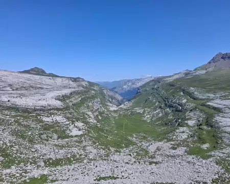 2026-07-22 12-20-51