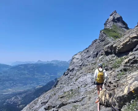 2026-07-22 12-54-40