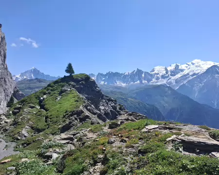 2026-07-22 13-15-59