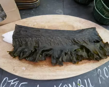 Non ce n'est pas un porte-jaretelle, mais une algue.