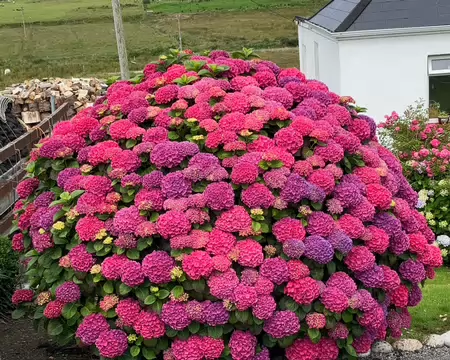 P1000148