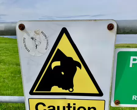 ... mais aussi...